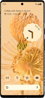 Google Pixel 6 Pro Stormy Black