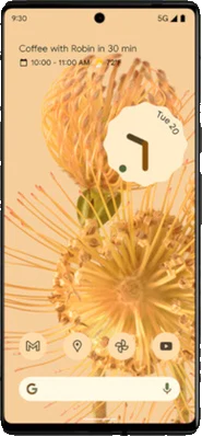 Google Pixel 6 Pro 256GB