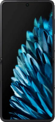 OPPO Find N2 Flip Black