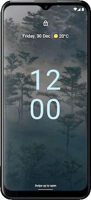 Nokia G60 Grey