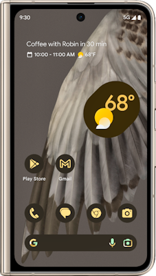 Google Pixel Fold 5G Porcelain