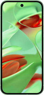 Google Pixel 9 Wintergreen