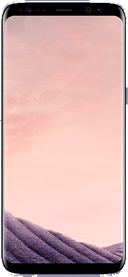 Samsung Galaxy S8 Orchid Grey